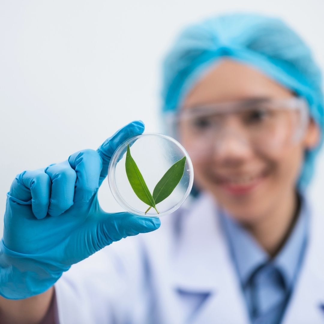 Special Formulation