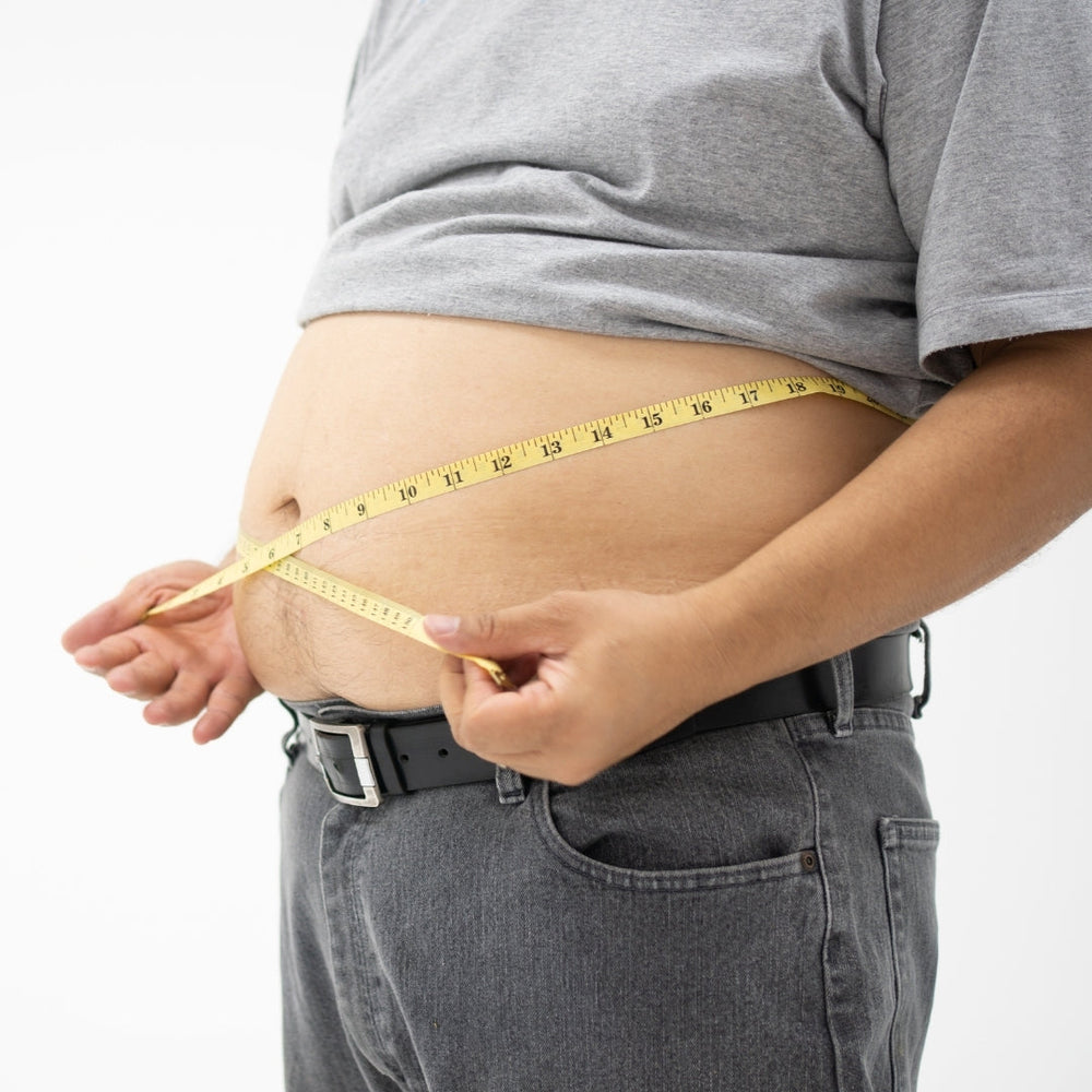 organic-fat-burner-pills-weight-loss-support