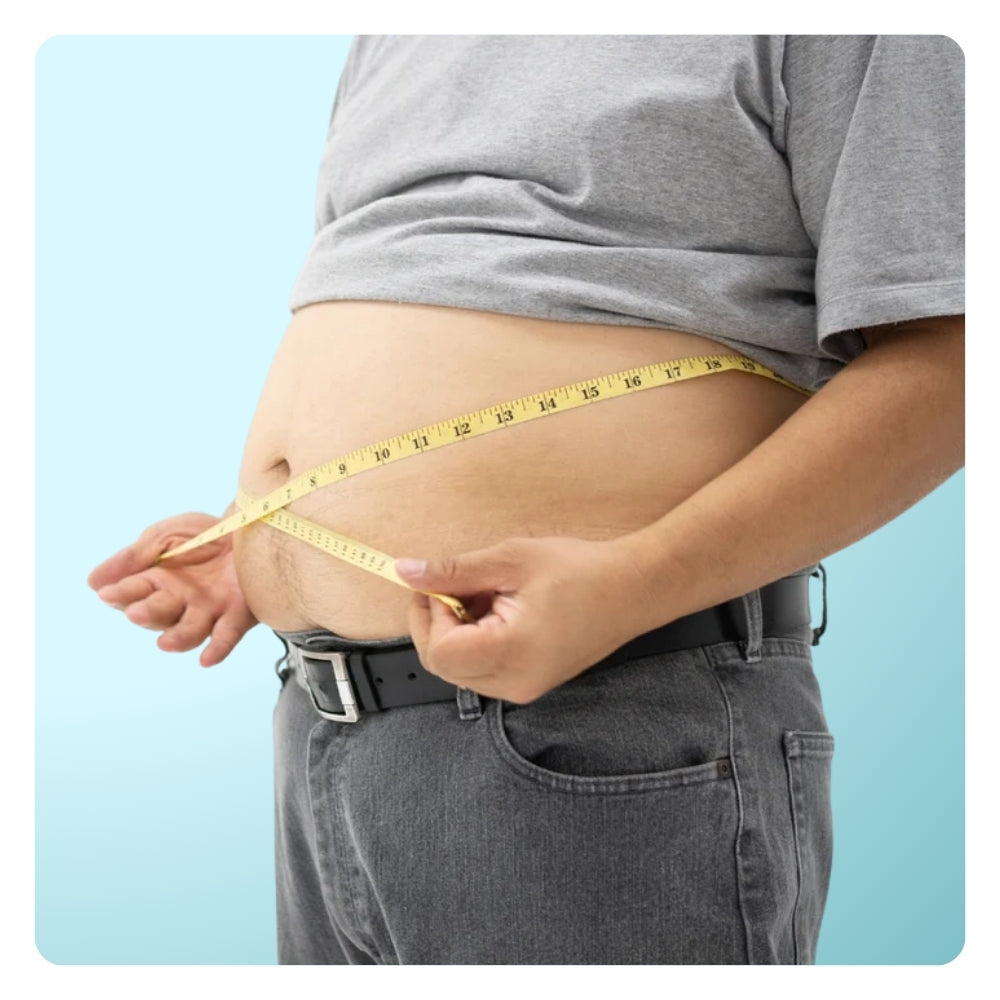 Terma cobertizo quemador de grasa | Suplemento para bajar de peso con Garcinia Cambogia, quitosano y yerba Mate | No GMO | 60 tabletas