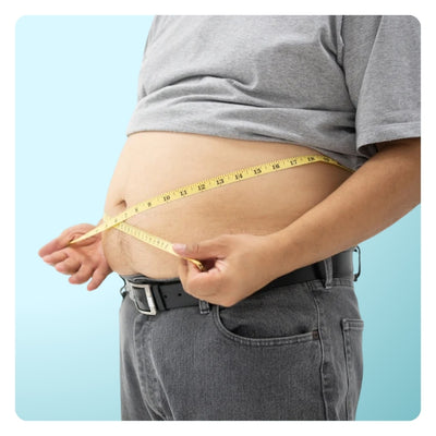 Terma cobertizo quemador de grasa | Suplemento para bajar de peso con Garcinia Cambogia, quitosano y yerba Mate | No GMO | 60 tabletas
