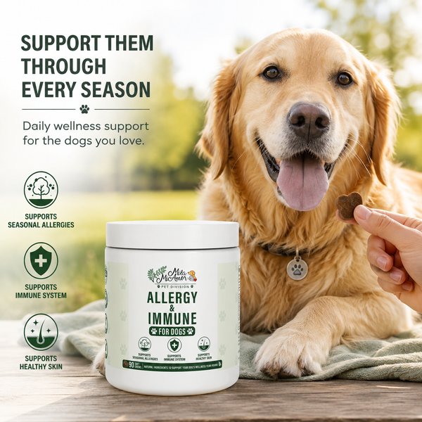 Allergy & Immune Soft Chews for Dogs – Seasonal Allergy, Immune System & Healthy Skin Support – Natural Ingredients – 90 Soft Chews