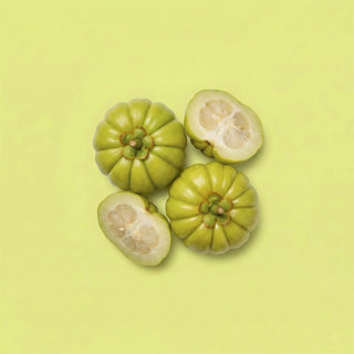 Garcinia cambogia Extract