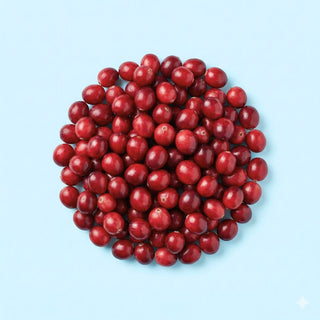 Cranberry Fruit