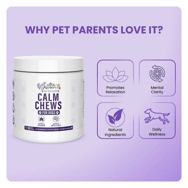 Calm Chews for Dogs – Calming & Relaxation Support – Supports Mental Clarity – Natural Ingredients – Daily Wellness Soft Chews – 90 Count
