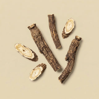 Dandelion Root