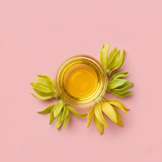 Cananga Flower Oil 