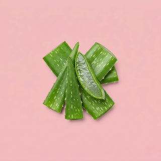 Aloe Vera 