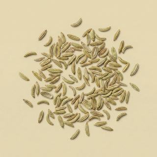 Fennel Seed