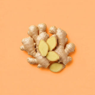 Ginger Root Extract