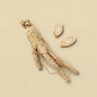 Ginseng