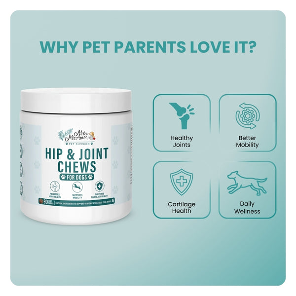 Hip & Joint Chews for Dogs – Joint Health, Mobility & Cartilage Support – Natural Ingredients – Daily Wellness Soft Chews – 90 Count