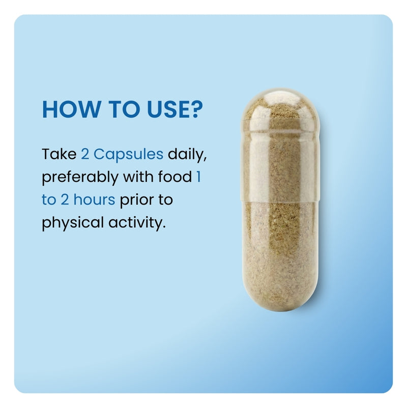 Horny Goat Weed dosage instructions. Close-up of a tan capsule with directions to take 2 capsules daily.