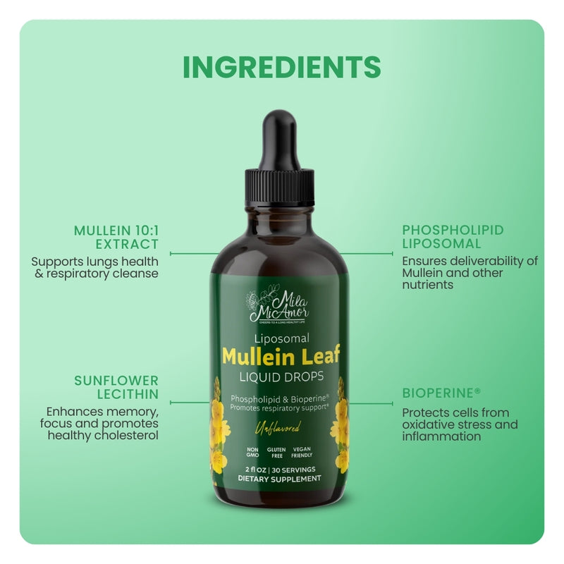 Mila MiAmor Mullein Leaf ingredient graphic highlighting 10:1 extract, liposomes, and Bioperine for lung health.