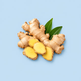 Ginger Root Extract