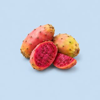 Prickly Pear Fruit Extract