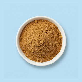 Polypodium vulgare Powder 