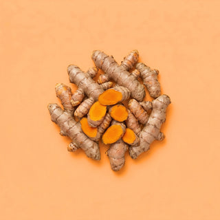 Turmeric Rhizome Extract 